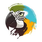 Parrott - @p.aint.edparrott - Instagram