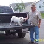 Ed Patrick - @edsbullies - Instagram