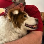 Ed Payne - @dailyhound - Instagram