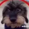 peake3d - @peak3ed - TikTok