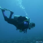 Ed Peet - @edpeet9 - Instagram