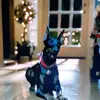 ed pelczar - @edpelczar - TikTok