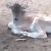 Edgar Pelcastre - @edgar.pelcastre - TikTok