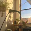 e.dpena - @e.dpena - TikTok