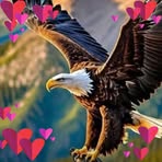 Edy Poniman - Facebook