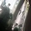 pepineddu - @pepineddu - TikTok