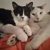 Ed Picard - @ed.picard - TikTok