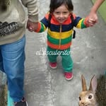 Ed Portillo - @ed.portillo.921 - Instagram