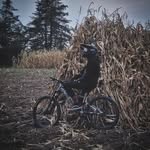 Edgar Rodriguez - @ed.rider13 - Instagram
