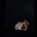 ED Rios - Facebook