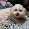 Ed Rios - @edrios1 - TikTok