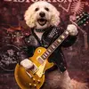 Eddie - @edrock371 - TikTok