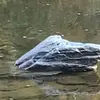 Ed Sanderson - @ed.sanderson6 - TikTok