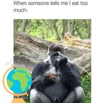 Ed Sayers - @fff_alcon_eddie - Instagram