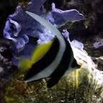 Ed Schroeder - @edschroeder69 - Instagram