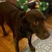 Ed Schroeder - Facebook