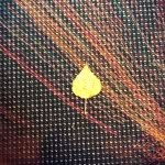 Ed Seeds - @ed_seeds - Instagram
