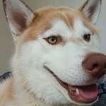 Ëdmond Sibbits II - @edsmiley253 - Instagram