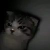Edsmiley:) - @mr.lonely8236 - TikTok