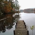 Ed Solomon - @edsolomon72 - Instagram
