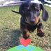 Ed Stan - Facebook