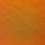 @edsteer - Instagram