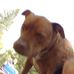 Ed Stevens - Facebook