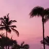 edsweeney - @edsweeney - TikTok