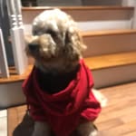 Edward Szymanski - @edward.szymanski - Instagram