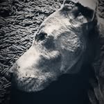 Ed - @edteague94 - Instagram
