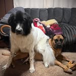 Ed Thomas - @runner42.2 - Instagram
