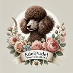 Edelpudel vom Vogelsberg - @edelpudel_vom_vogelsberg - Instagram