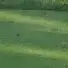 EdVogel69 - @edvogel697 - TikTok