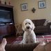 Edward Whitlock - Facebook