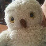 Edwiges - @edwickes - Instagram