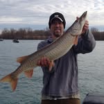 Ed Wierenga - @ed.wierenga - Instagram