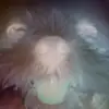edwierdo is me - @edwierdoo - TikTok