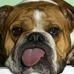 Ed Wilcox - @ed.wilcox2 - Instagram