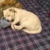 Eddie Wilcox - @eddie.wilcox1 - TikTok