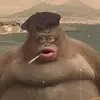edwilcox2 - @edwilcox2 - TikTok