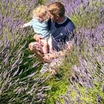 Ed Wild - @edwild80 - Instagram