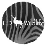 Ethan Day Wildlife - @ed_wildlife.za - Instagram