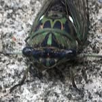 Ed Willman - @ed_willman23 - Instagram