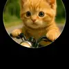 Eddy Wingfield - @eddy.wingfield - TikTok