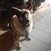 Ed Winslow - Facebook
