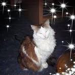 Edith Woelfle - Facebook