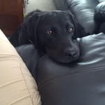 Ed Worrell - @ed_worrell - Instagram