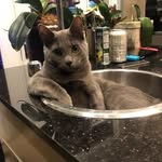 @edwulf.hanuokki21a271 - Instagram