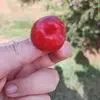 Edyauh - @edyauh - TikTok