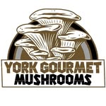Ed @ York Gourmet Mushrooms - @yorkgourmetmushrooms - Instagram